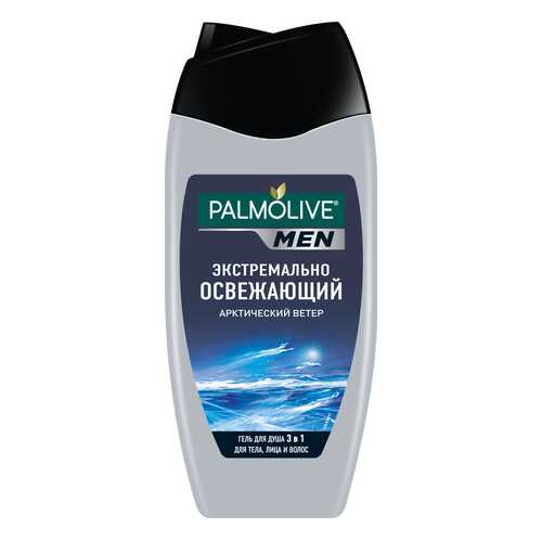 Шампунь Palmolive Арктический ветер 250 мл для мужчин в Тианде